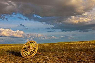 CDPR开发者为《星空》辩护 称B社更注重自由度而非动画